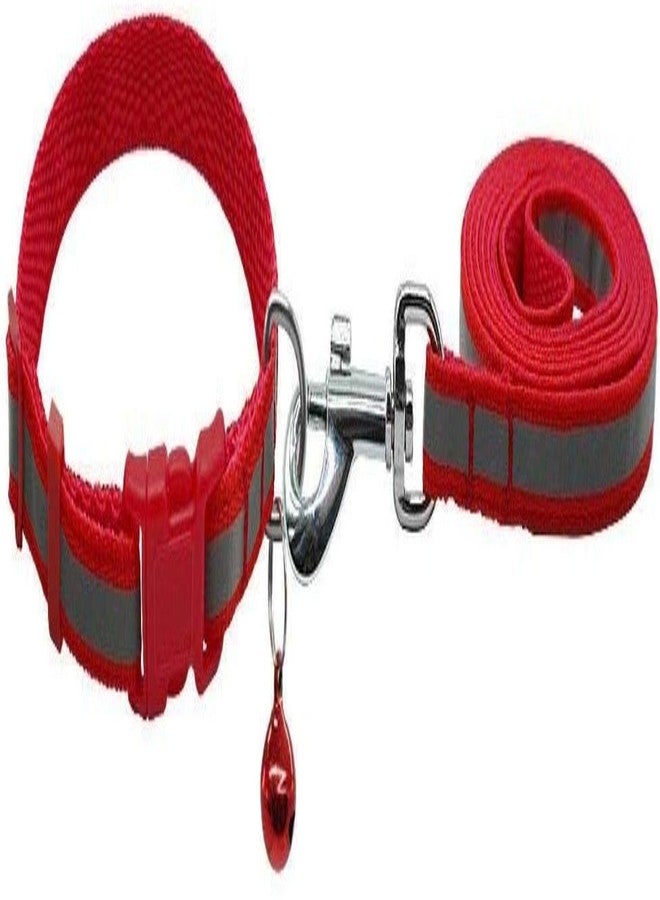 Pups&Pets Nylon Dog Leash with Collar Set for Puppy & Cats, 0.5 Inch Pet Reflective Nylon Collar with Leash Set Quick Release and Breathable Collar Set for Puppies and Dogs 15mm (Red Color) - Image 3